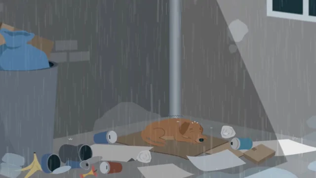 Tierschutzverein Berlin ausgesetzte Tiere Erklärvideo how2